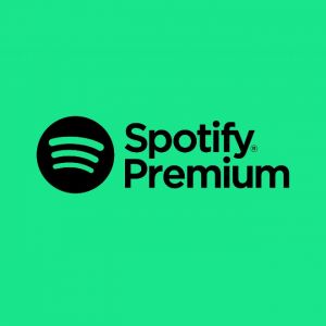 Carte Spotify Premium 10€